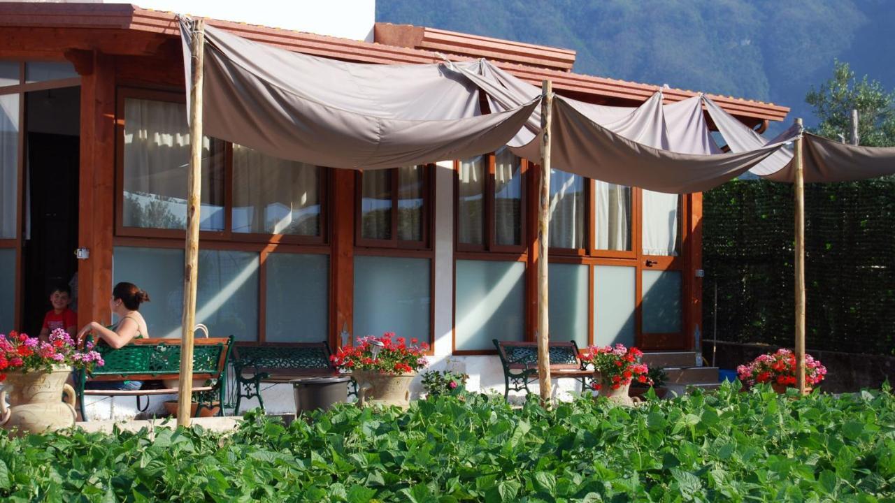 Villa Madre Terra à Pimonte Extérieur photo